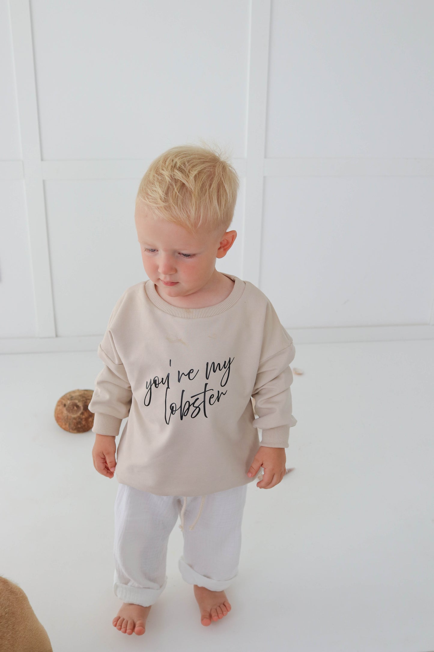 You are my lobster ! oatmeal sweatshirt